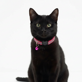 Deluxe Reflective Breakaway Adjustable Dog Collar with Bell