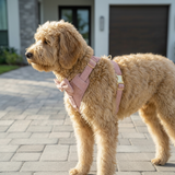 Pink Suade Detachable Bowtie