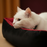 Classic Square Plush Border Nest Pet Bed