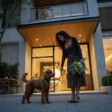 Leather Vest Harness & Lead Set