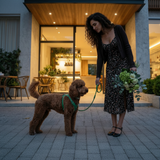 Leather Vest Harness & Lead Set