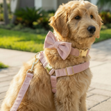 Pink Pastel Suade Detachable