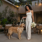 White Corduroy Dog Harness