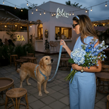 Premier Dust Blue Flanelette