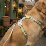 Elegant Collar - Summer Leather