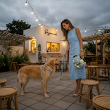 Premier Dust Blue Flanelette