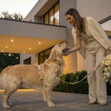 Beige Suade Detachable Bowtie