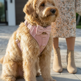 Pink Suade Detachable Bowtie
