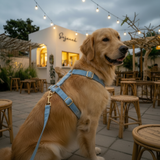 Premier Dust Blue Flanelette