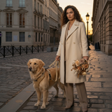 Adjustable Teddy Comfort Dog Harness Bundle