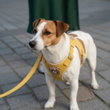 Nylon Harness - Design