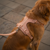 Breathable Collar - Macaron Mesh