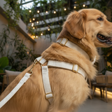 White Corduroy Dog Harness