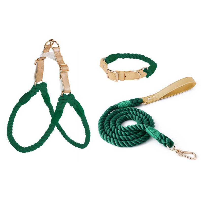 BowWow Handmade Bright Cotton Rope Collar & Leash Set