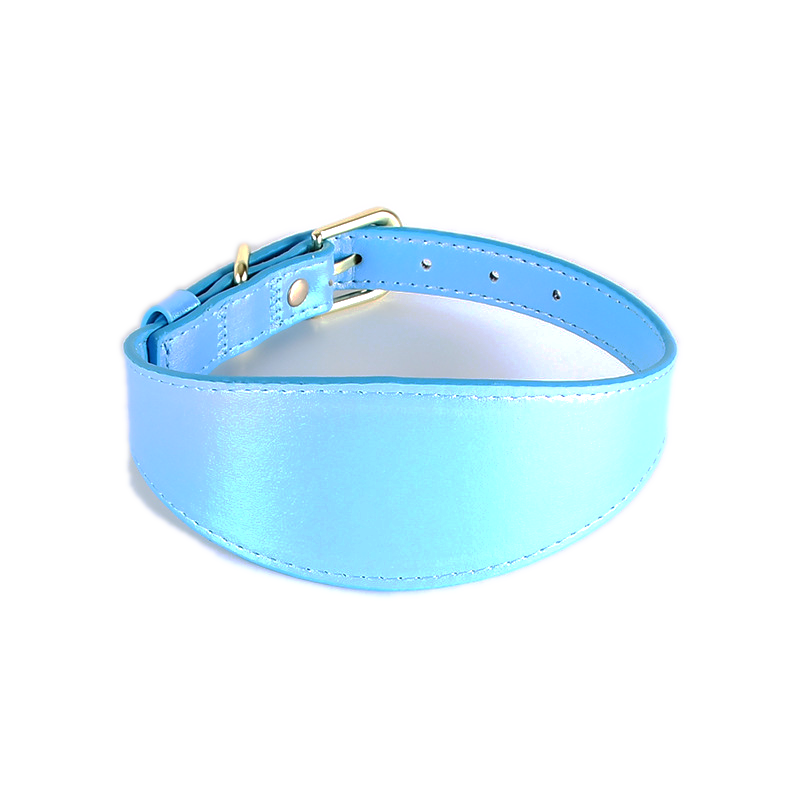 Iridescent Wide Collar in Vegan Leather
