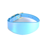 Iridescent Wide Collar & Lead Set, Vegan Leather - Blue