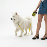 Classic Retractable Leash - 5M Reach