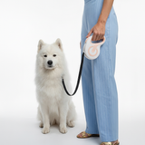 Reflective Automatic Retractable Training Lead