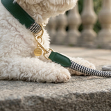 Prime Zigzag Soft Wrap Webbing Collar & Lead Set