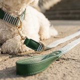 Prime Zigzag Soft Wrap Webbing Collar & Lead Set