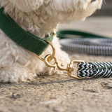 Prime Zigzag Soft Wrap Webbing Collar & Lead Set