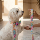 Rainbow Love Detachable Bow