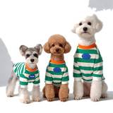 Striped Coat for Small Dogs - view 2