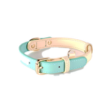 Sorbet Pastel Collar & Lead Set, Genuine Leather - Mint