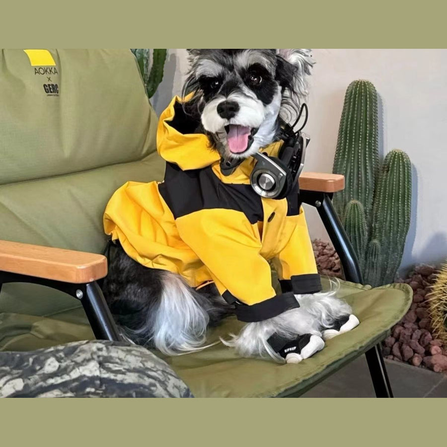 Technical Outdoor Shell Jacket for Small Dogs - Ink Gold Pet Shell Jacket