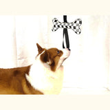 Checkerboard Bone Tug Toy with Long Strap Handle - view 1