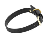 Brights Collar - Black
