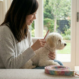 Dog Hair Detangling Grooming Comb