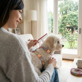 Dog Hair Detangling Grooming Comb