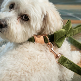 Olive Collar - Green Velvet