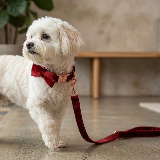 Ruby Red Heart Velvet