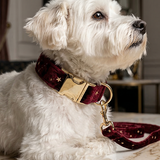 Starry Night Scarlet Red Velvet Collar with Bow Tie & Lead Set - Classic