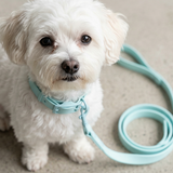 Royal Pastel PVC Dog Collar & Lead Set