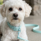 Royal Pastel PVC Dog Collar & Lead Set