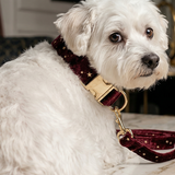 Starry Night Scarlet Red Velvet Collar with Bow Tie & Lead Set - Classic