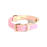 Sorbet Pastel Collar & Lead Set, Genuine Leather - Princess Pink