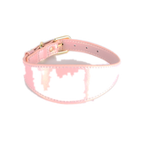 Iridescent Wide Collar & Lead Set, Vegan Leather - Soft Pink