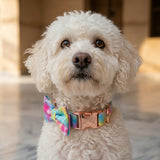 Rainbow Love Detachable Bow