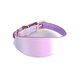 Iridescent Wide Collar & Lead Set, Vegan Leather - Bright Violet