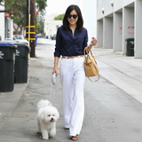 Beacon Retractable Leash - 3M Reach