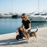 Classic Retractable Leash - 5M Reach