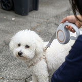 Beacon Retractable Leash - 3M Reach