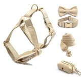 Beige Suade Detachable Bowtie - 2