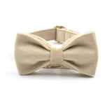 Beige Suade Detachable Bowtie - 7