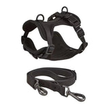 Mesh Collar & Lead Set - Mesh | PAWD