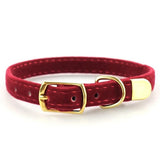 Cloud Collar - Gold Bell - 2
